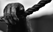 Grayscale Photo of Person Holding Rope