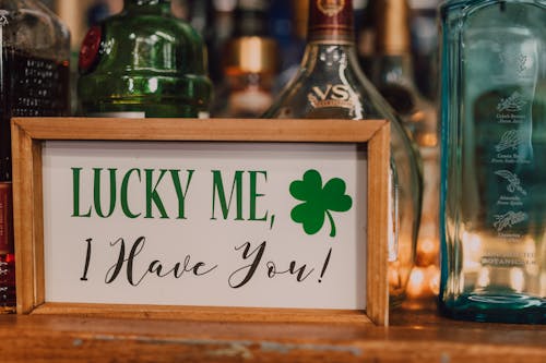 Free stock photo of bar, bartender, beer