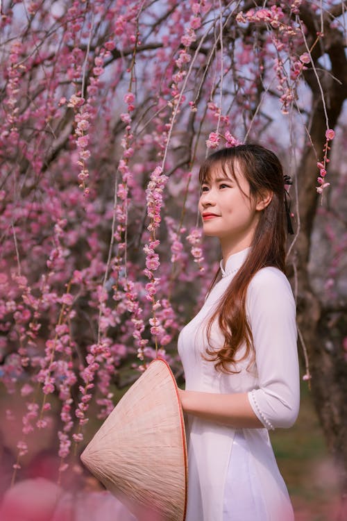 Woman Standing Under a Beautiful Pink Cherry Blossom Tree Holding a Conical Hat
