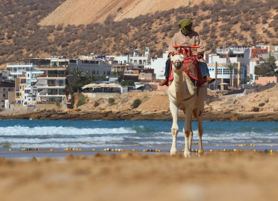 A man rides a camel along the beach in Taghazout, Morocco with urban backdrop.