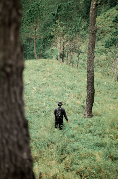 Free A solitary figure in black explores a vibrant, tree-filled forest landscape. Stock Photo