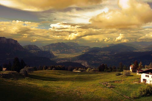 Free Green Grass Field over Horizon Stock Photo