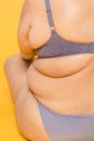 Crop obese model in lingerie on yellow background