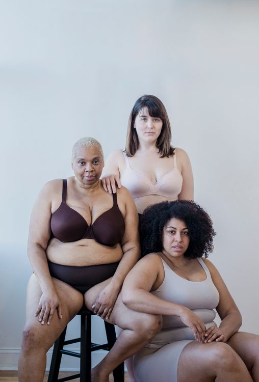 Multiethnic plump women in lingerie Free Stock Photo Multiethnic plump women in lingerie Free Stock Photo