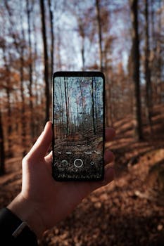 A hand holds a smartphone capturing an autumn forest, displaying vibrant fall colors.