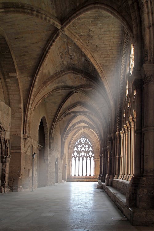 Foto d'estoc gratuïta de abadia, arc, arcada
