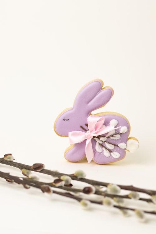 Free Adorable purple bunny cookie with pink bow and willow twigs for Easter decor. Stock Photo