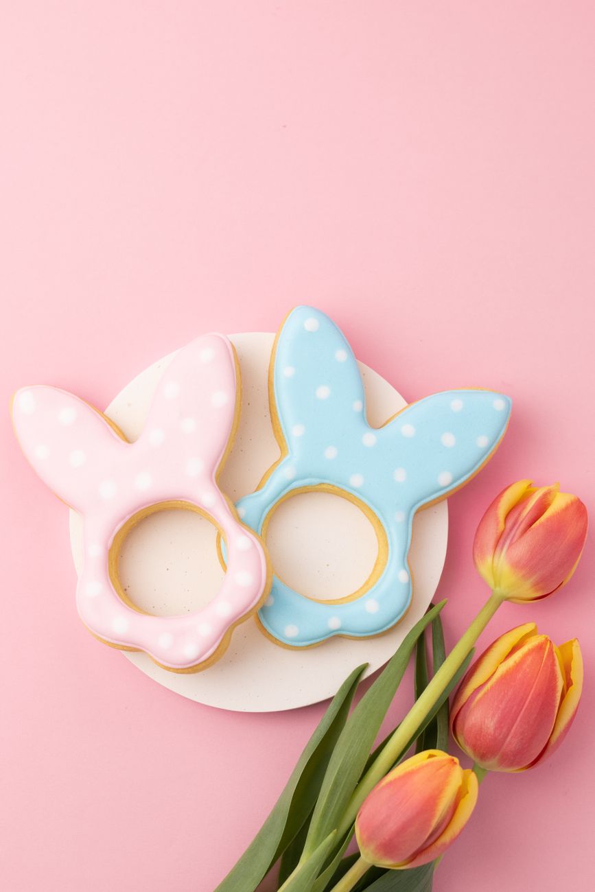 Bunny shaped plates 2026 Test