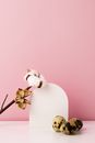 White Moth Orchids in White Vase