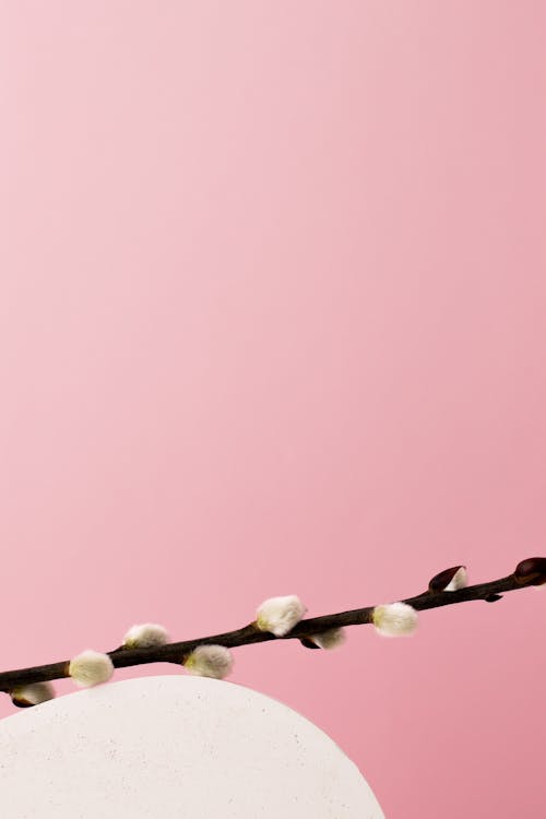 Brown Wooden Stick With White and Pink Background