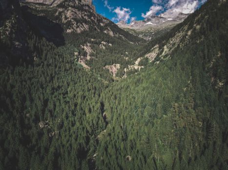 Majestic aerial view of a dense mountain forest under a clear blue sky.