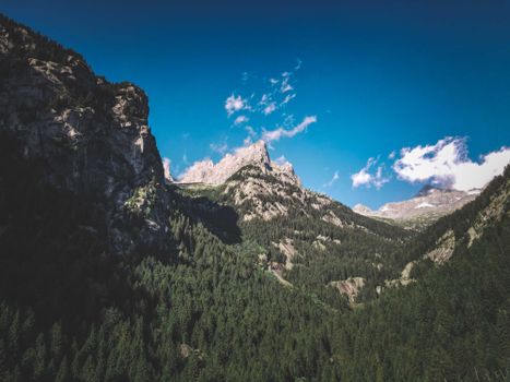 Dense forest with green coniferous trees growing among high rough mountain slopes against blue sky in nature with bright sunlight