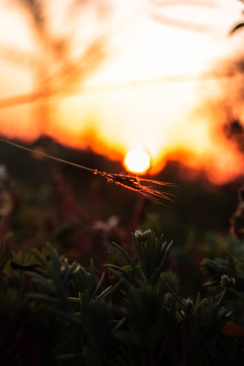 Základová fotografie zdarma na téma abstraktní, barva, jasný