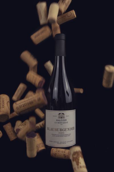 Cabernet Franc Elegance