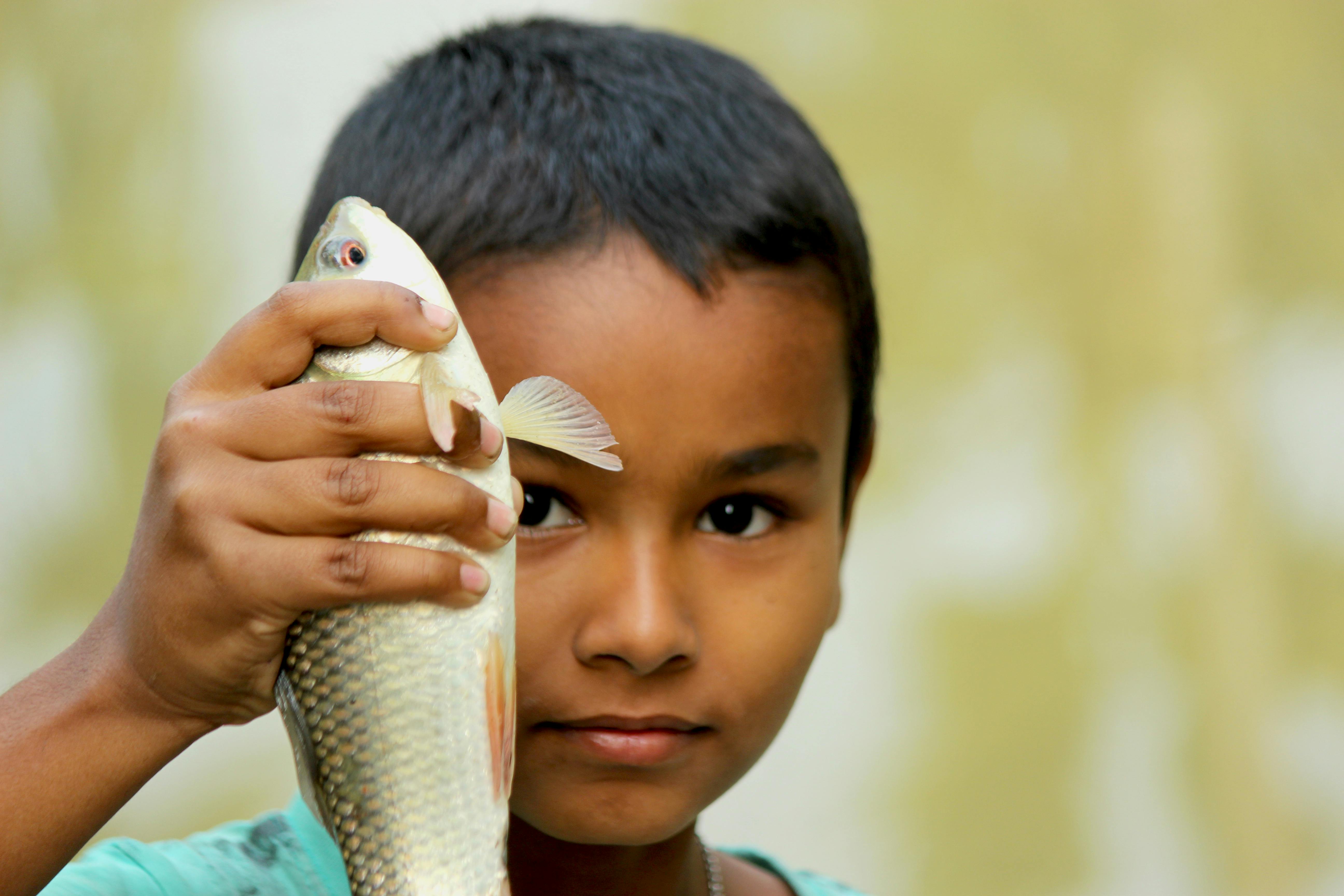 Photo of Little Boy Fishing Stock Photo - Image of portrait