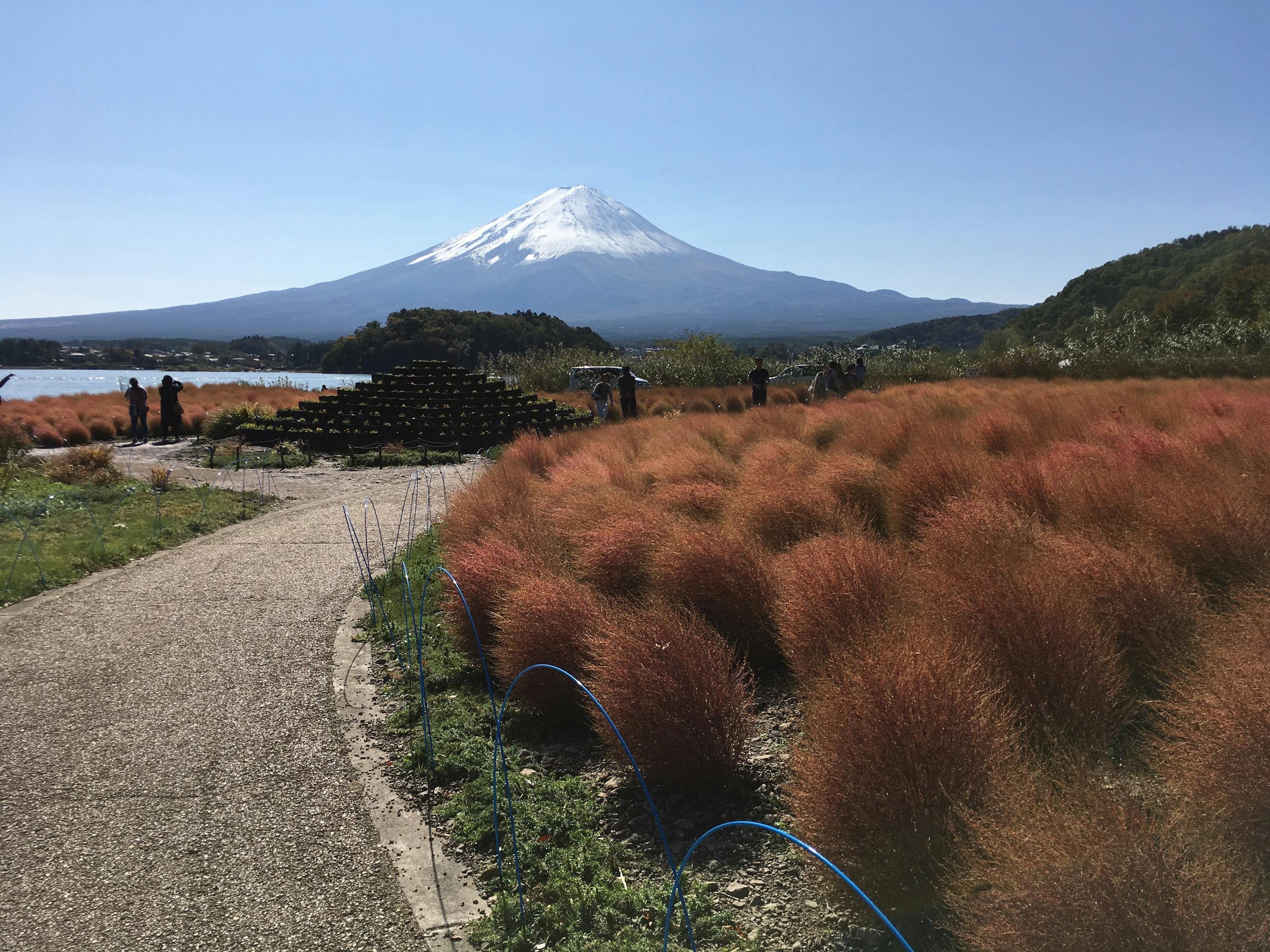 Free stock photo of fujisan