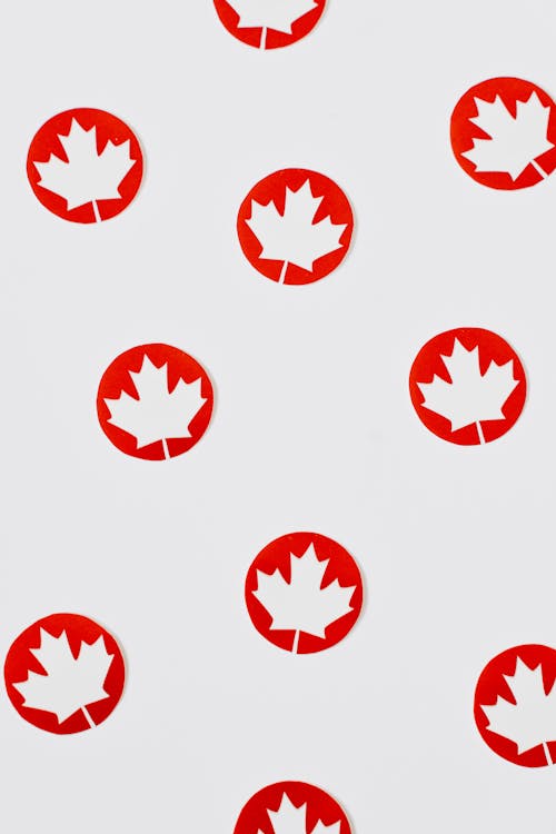Close-Up Shot of Maple Leaves Cutouts