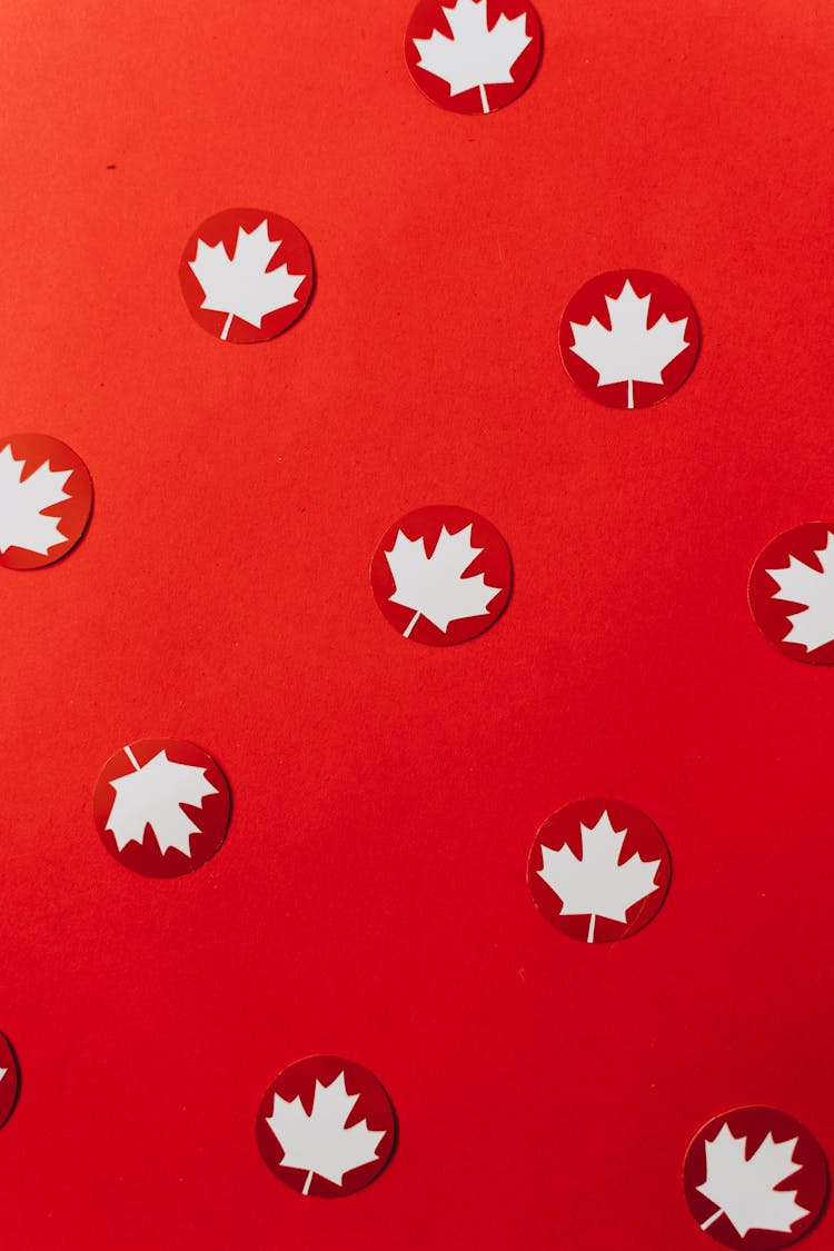 Maple Leaves Cut Outs On Red Surface