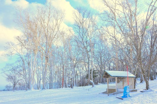 日本北海道小樽的宁静雪景中，有森林和木制避难所