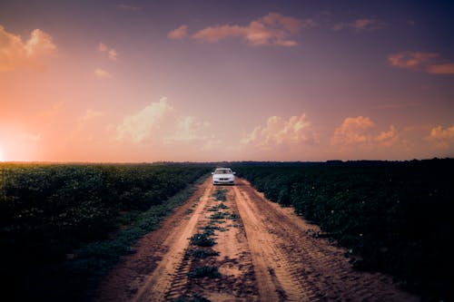 Free White Car on Dirt Road in the Middle of Grass Field Stock Photo