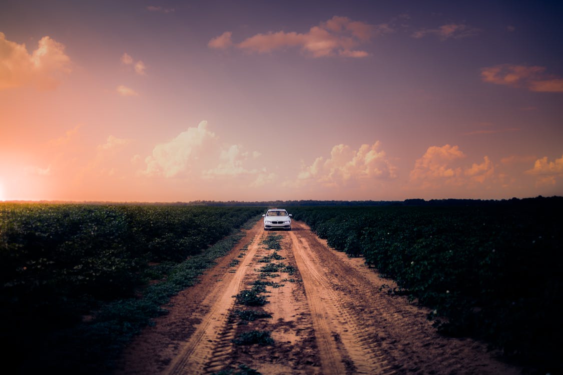 Ilmainen kuvapankkikuva tunnisteilla auringonlasku, aurinko, auto