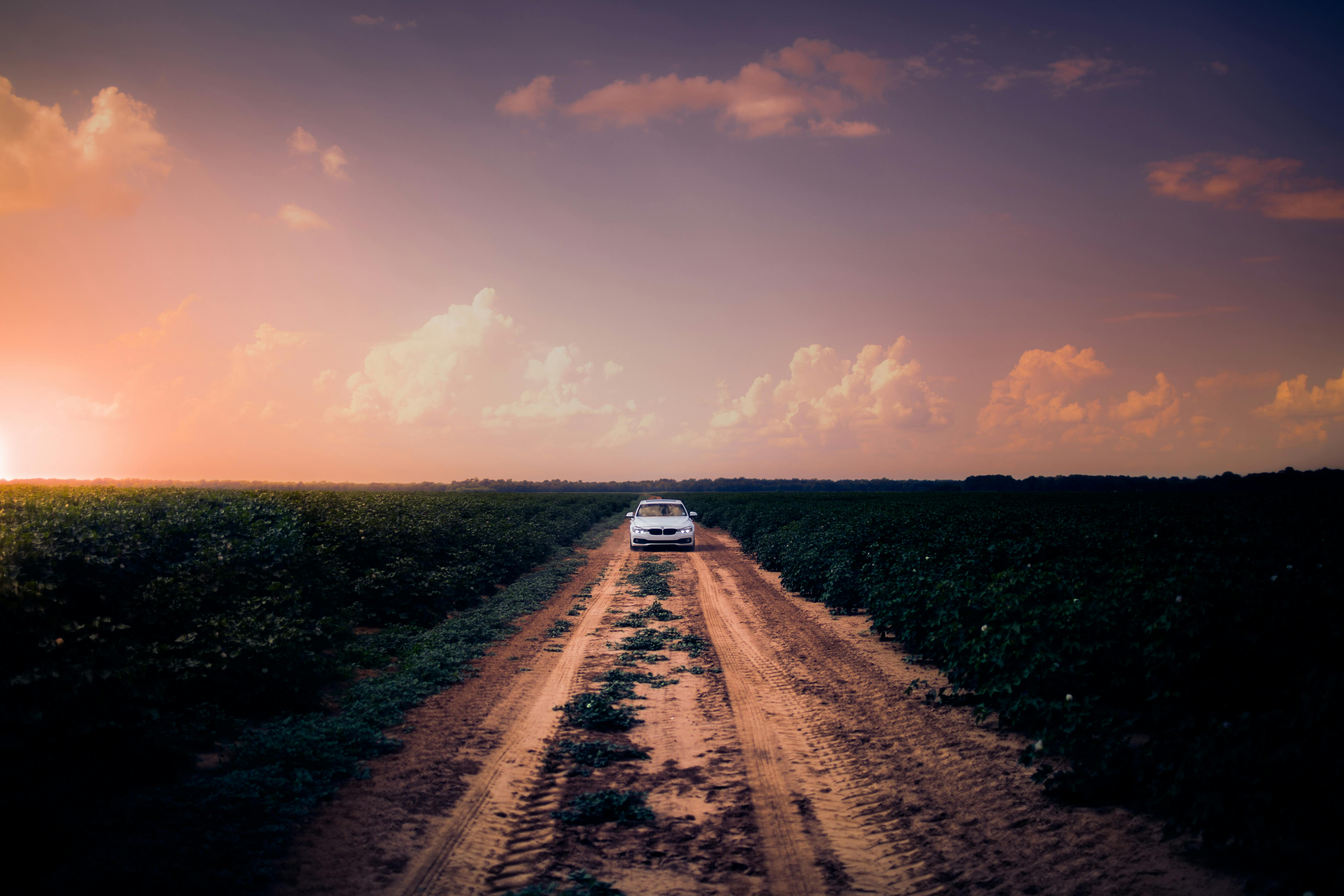 white-car-on-dirt-road-in-the-middle-of-grass-field-free-stock-photo