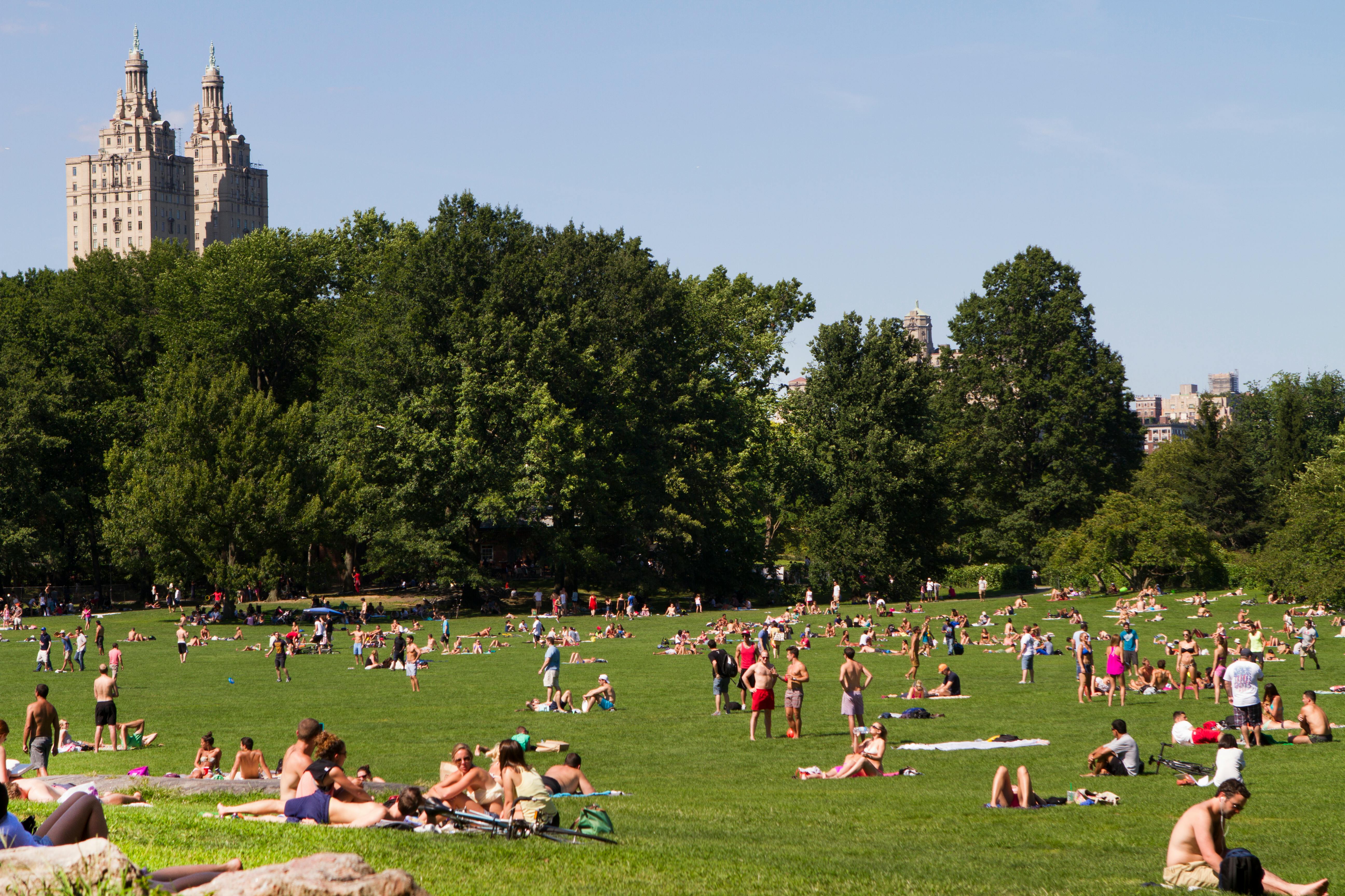 qué temperatura hace en nueva york