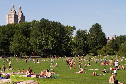中央公園, 休閒, 公園 的 免费素材图片