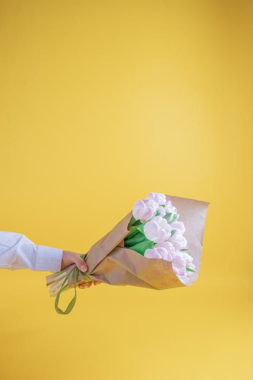 Fotos de stock gratuitas de flores, fondo amarillo, mano