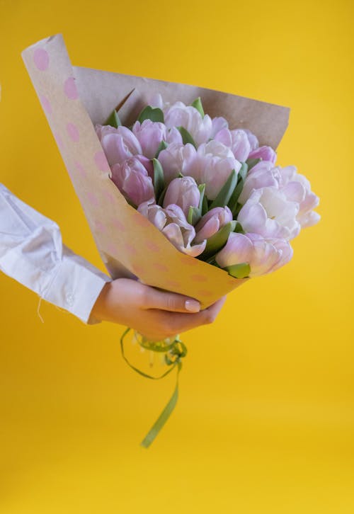 Gratis stockfoto met bloemen, boeket, gele achtergrond