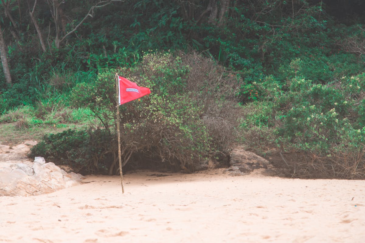 Planner and pen on a desk suggesting planning your day with intention