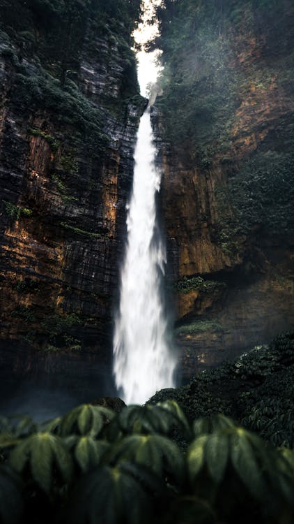 A Beautiful Waterfalls in the Forest