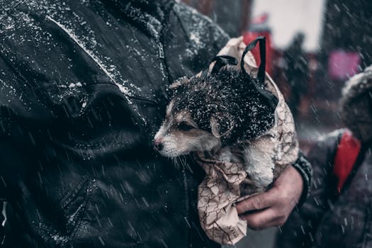 A man in winter clothes holds a puppy during a snowfall on a city street.
