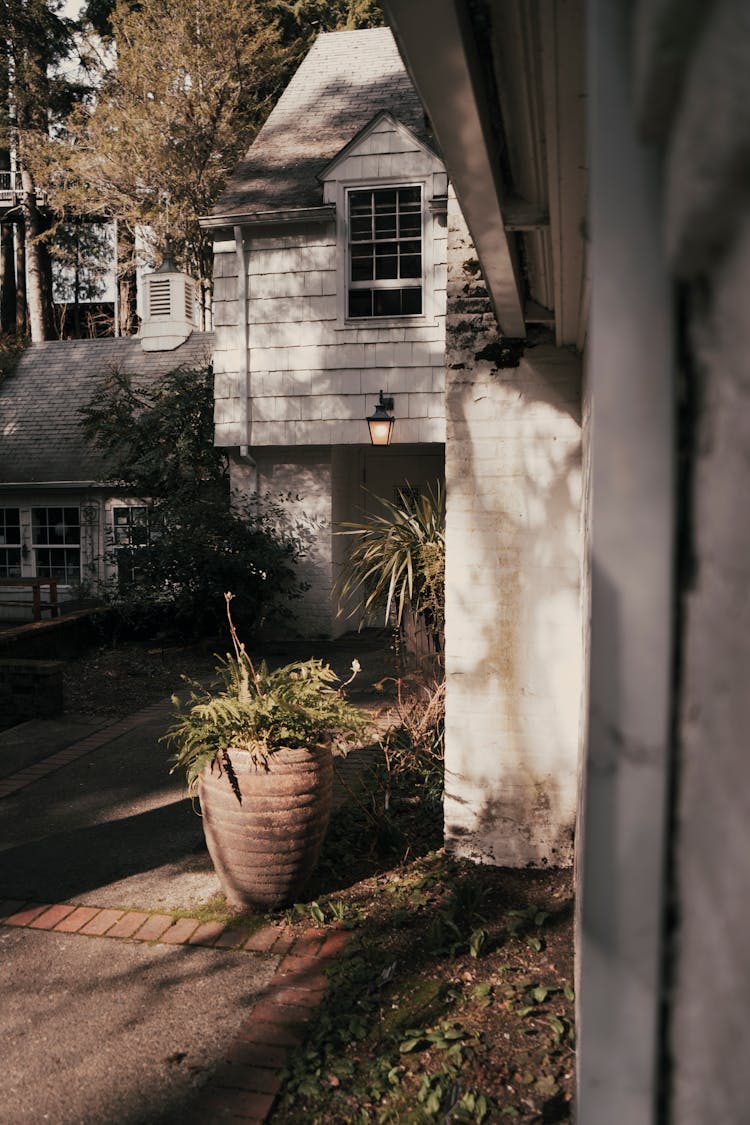 Photo Of A Pot Near A House