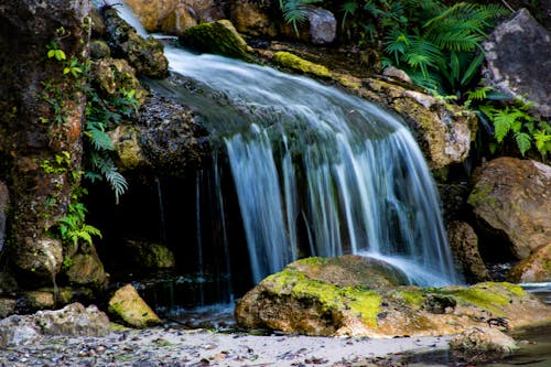 Gratis stockfoto met cascade, detailopname, herfst