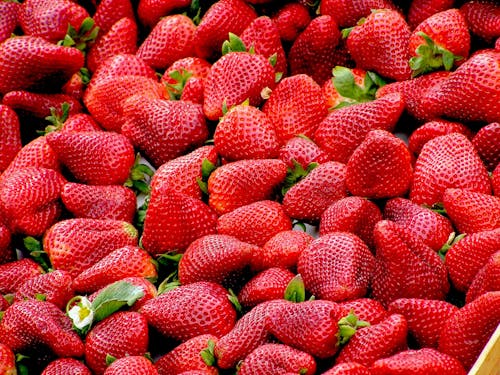 Free Red Strawberries Stock Photo