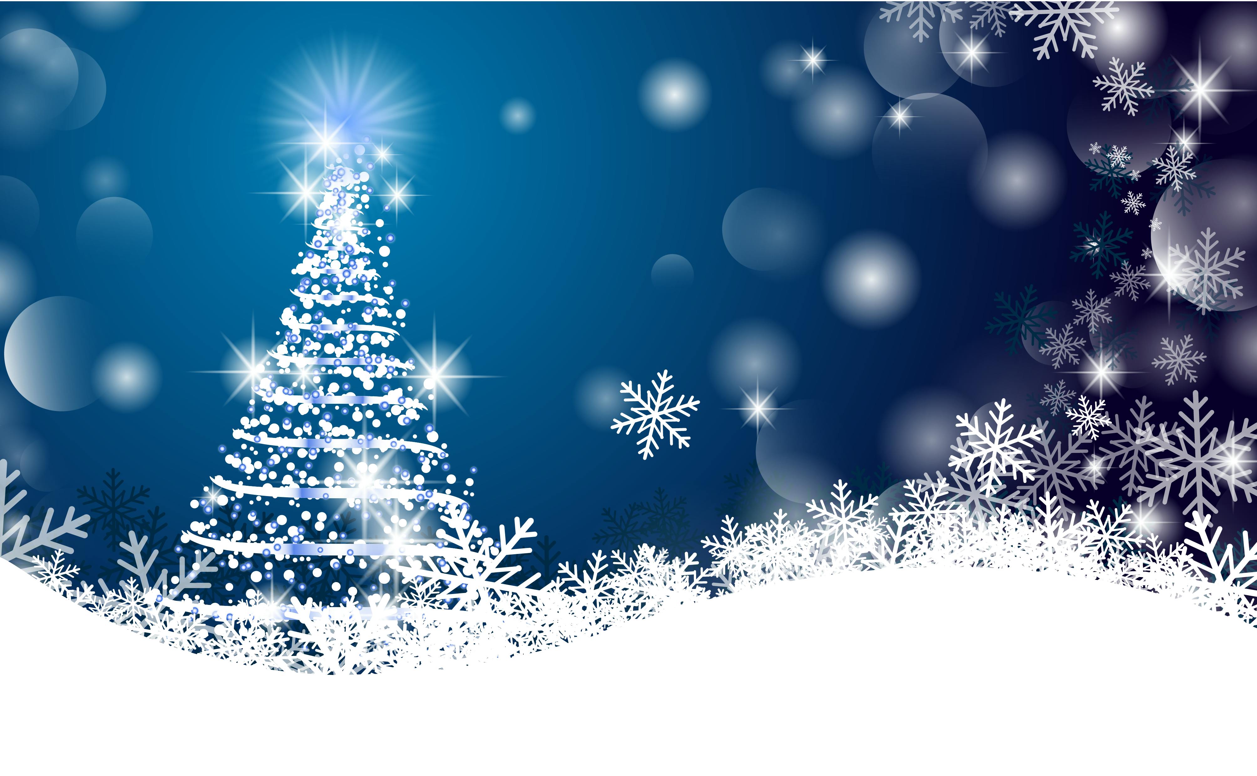 Free stock photo of blue, christmas, christmas tree