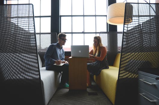 Free stock photo of people, laptop, office, working