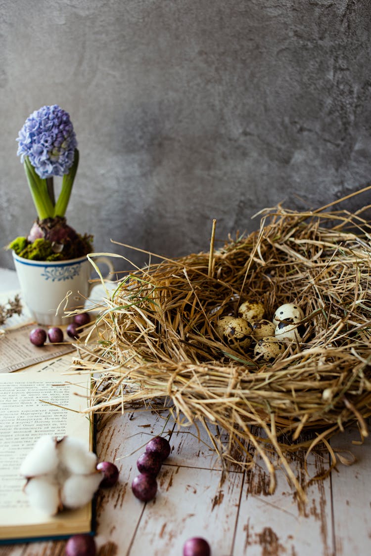 Quail Eggs On A Nest 