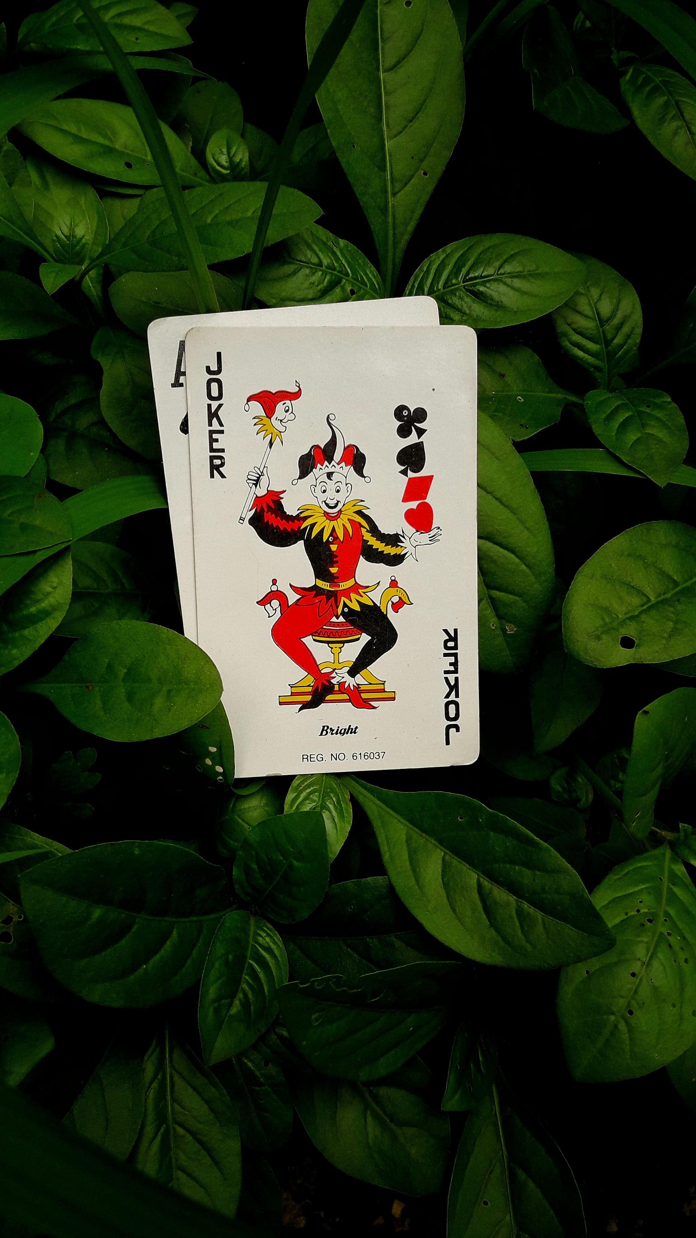 Jack of Diamonds Playing Card · Free Stock Photo