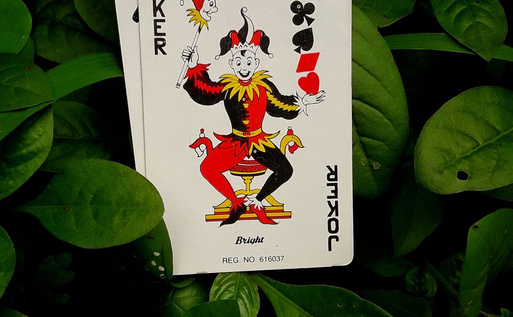 Bingo Keno und Rubbellose online im Casino Vergleich