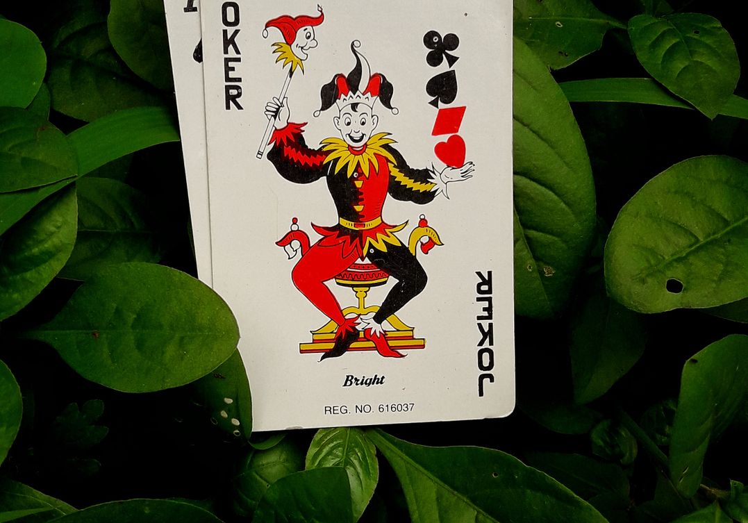 Blackjack online Strategie Tipps für erfolgreiche Spieler