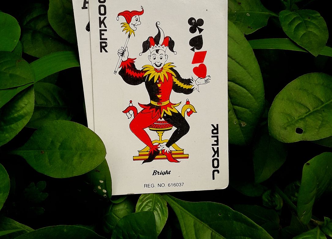 seriöses Online Casino erkennen mit unserer Checkliste