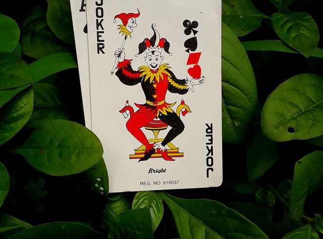 Blackjack online: Grundlagen einer soliden Strategie im Casino