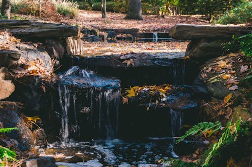 Free Waterfalls Stock Photo