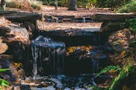 宁静的森林瀑布映衬着秋叶和长满青苔的岩石