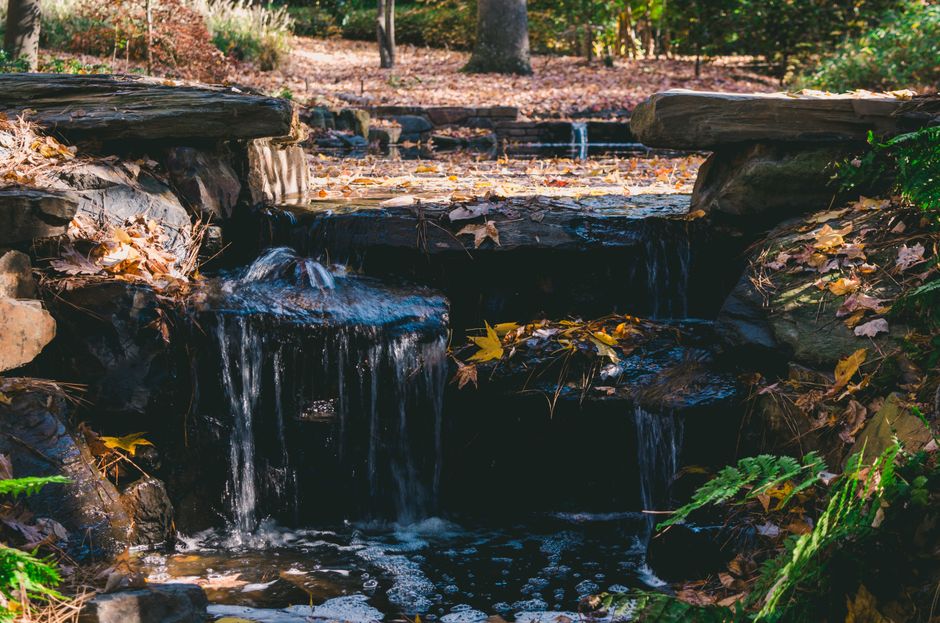 A tranquil forest waterfall framed by autumn leaves and mossy rocks.