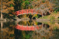 一座红色的石桥在秋叶环绕的宁静池塘中投下美丽的倒影