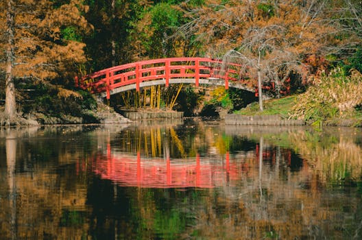 一座红色的石桥在秋叶环绕的宁静池塘中投下美丽的倒影