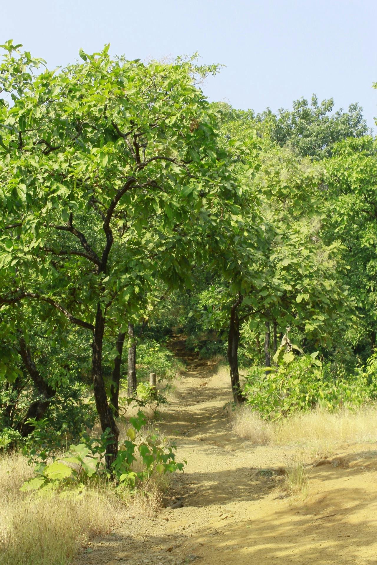 Kiểm tra vé máy bay